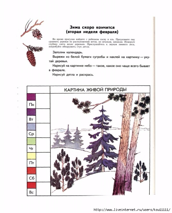 План конспект экологического занятия для дошкольников