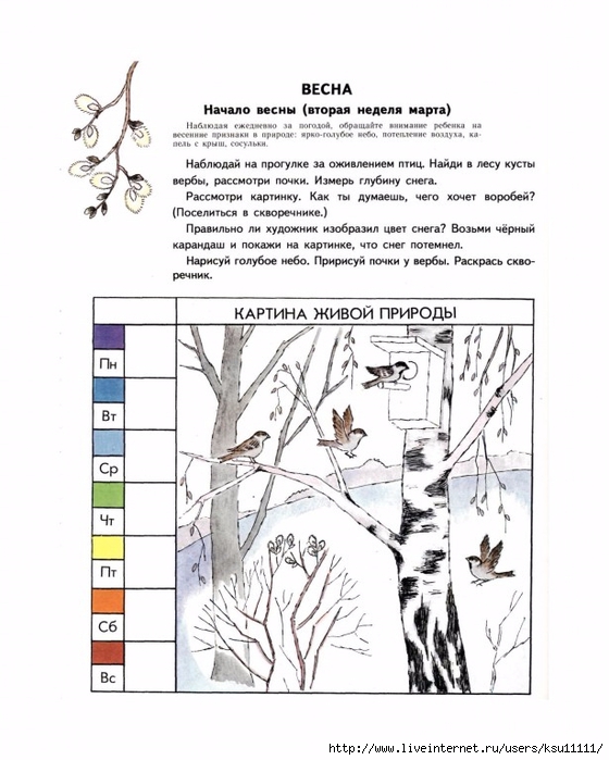 План конспект экологического занятия для дошкольников