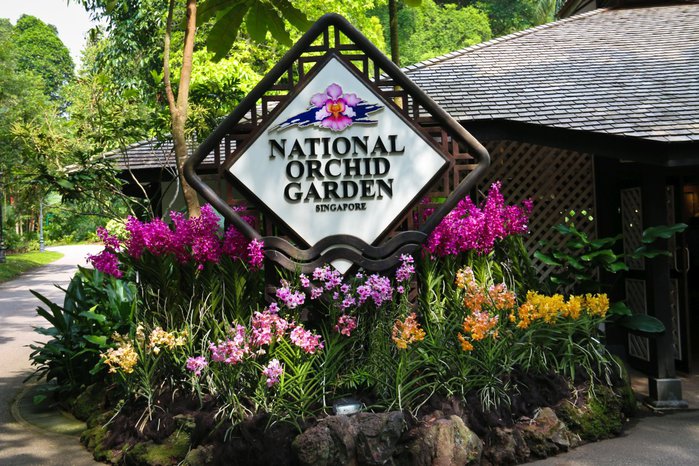 Singapore-National-Orchid-Garden23 (700x466, 124Kb)