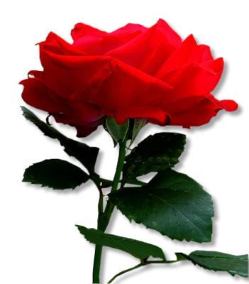 0_8bd29_2a5c885_XL (351x400, 163Kb)