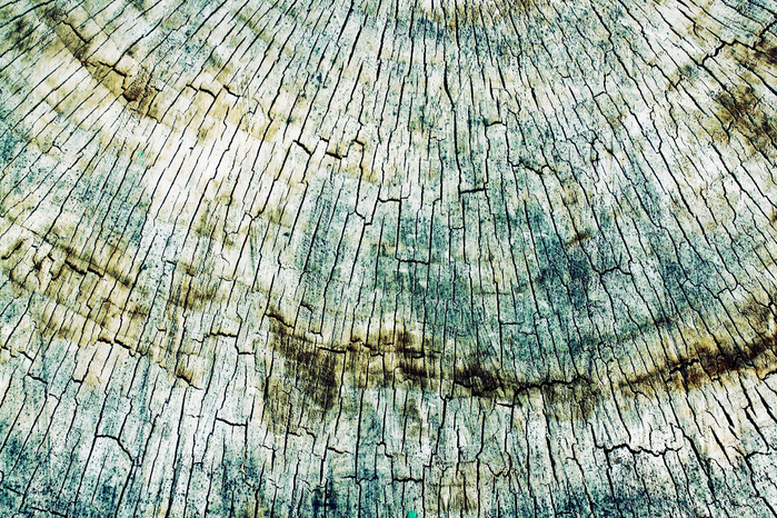 wooden-texture-077 (700x466, 676Kb)