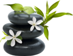  Artistic Zen (43) (700x540, 349Kb)