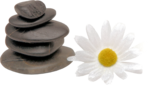  Artistic Zen (44) (700x400, 288Kb)