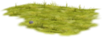  Artistic Zen (78) (700x256, 226Kb)