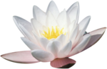  Artistic Zen (86) (566x370, 199Kb)