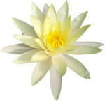  Artistic Zen (98) (650x630, 309Kb)
