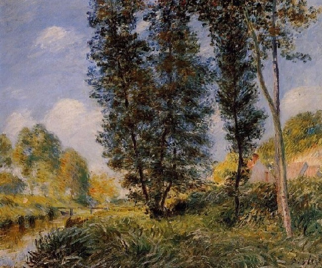Banks of the Orvanne (650x542, 472Kb)