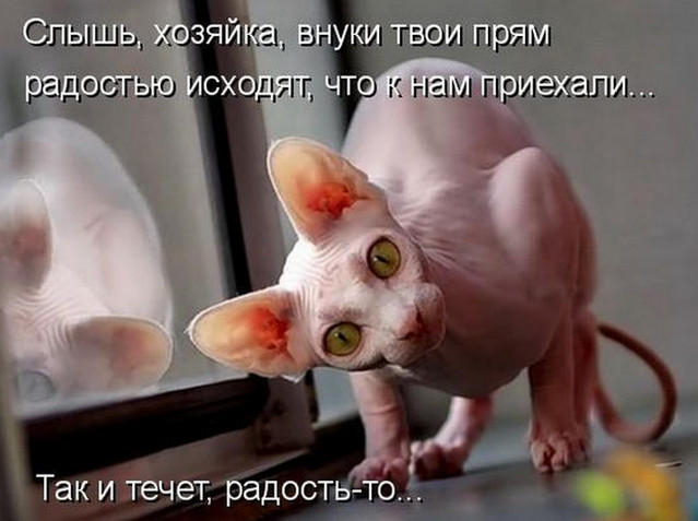 16 (639x477, 140Kb)