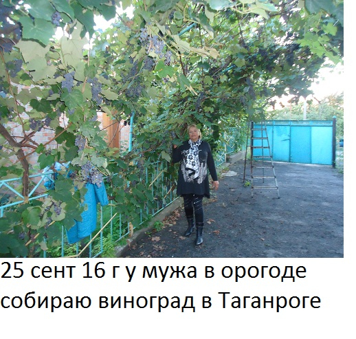 Таг2 я (518x493, 372Kb)