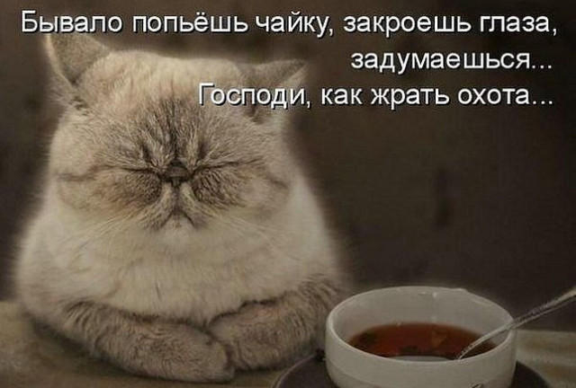 15 (640x432, 119Kb)