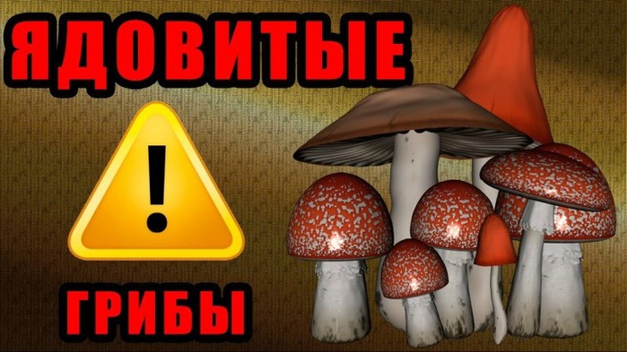  (700x393, 88Kb)
