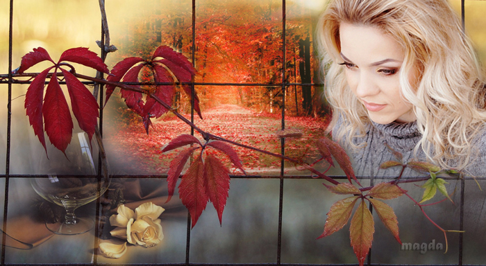 0_848c4_ede9ce59_orig (700x384, 302Kb)