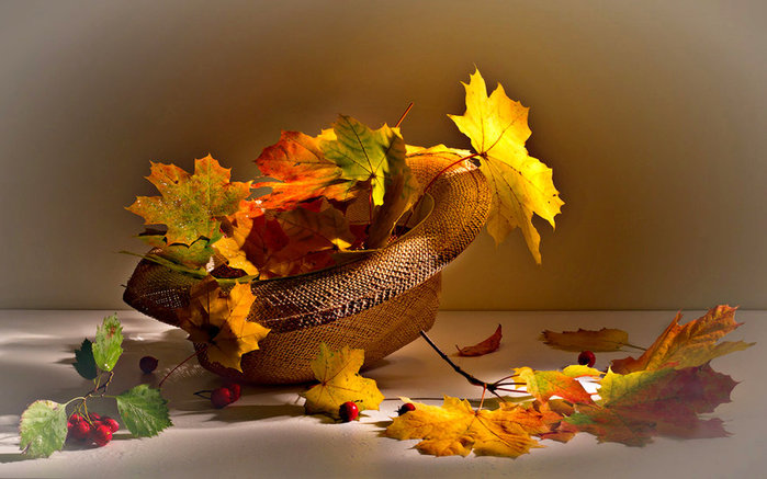 246707__autumn-leaves_p (700x437, 78Kb)