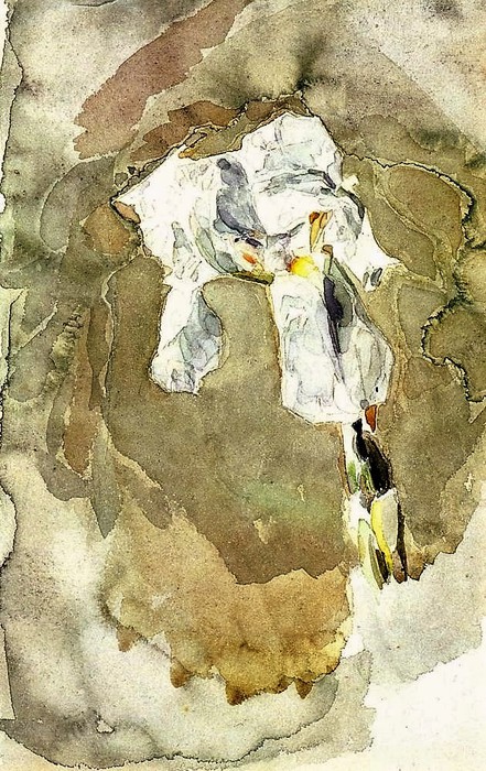 Белый ирис  1887 (441x700, 150Kb)