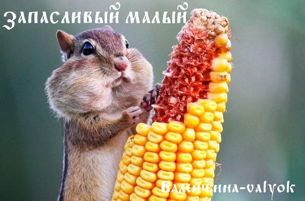j7_n7NmkmMc 28ЗАПАСЛ