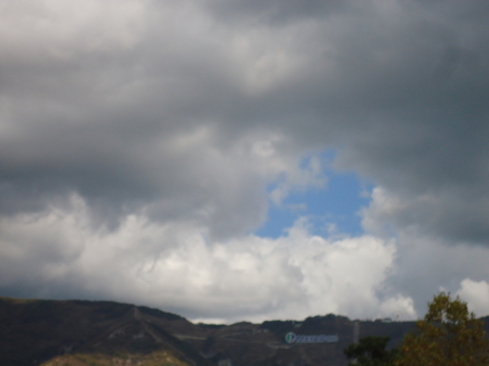 DSC02742 (700x525, 73Kb)
