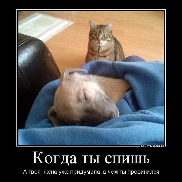 https://img0.liveinternet.ru/images/attach/d/1/131/820/131820750_37160168_kogdatyispish.jpg
