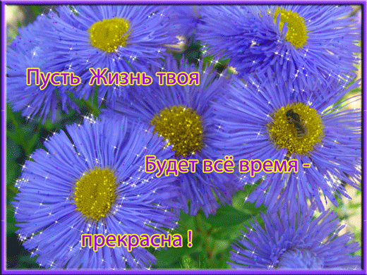5369078_6985232 (520x390, 1166Kb)