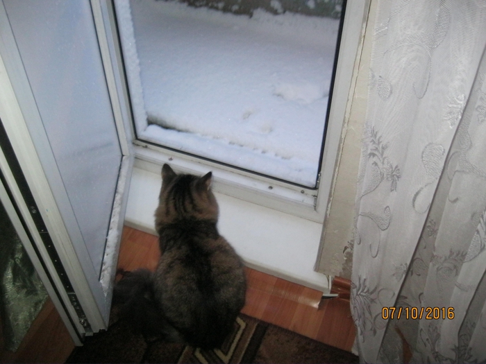 4382601_IMG_4501 (700x525, 227Kb)