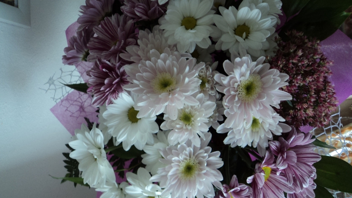 3509727_DSC07661 (700x393, 207Kb)