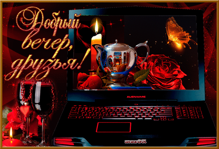 Открытки добрый вечер мой виртуальный друг, горшке