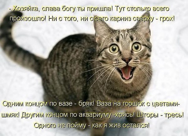 http://img0.liveinternet.ru/images/attach/d/1/131/884/131884796_4Y9jysJztA.jpg