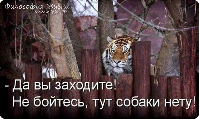 http://img0.liveinternet.ru/images/attach/d/1/131/884/131884800_A4bHgc8QMM.jpg