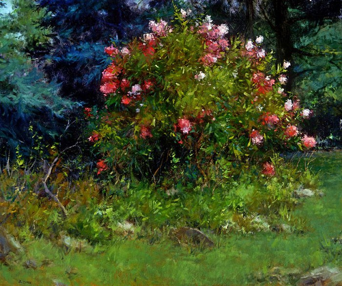 5635559_7_63982199_1284401960_peonies_large (700x586, 151Kb)