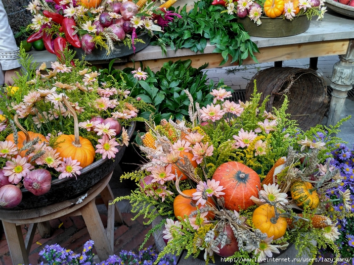 IMG_20160925_163318_HDR (700x525, 477Kb)