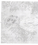  398447-ae62d-96317300--u1e7ac (602x700, 533Kb)