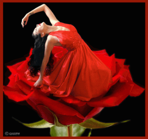 4f355a88e3fbcd3f4427b7676402850e.jpg (478x449, 555Kb)