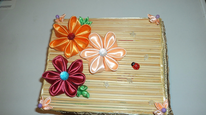 DSC03937 (700x393, 320Kb)