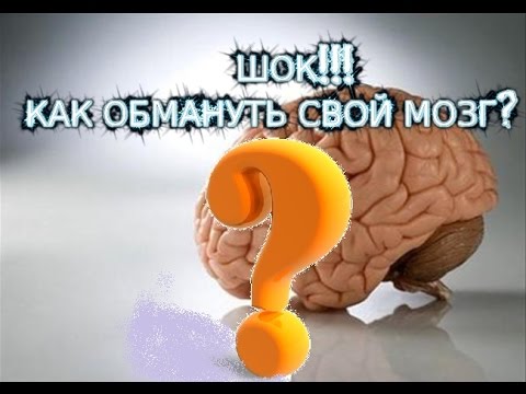  (480x360, 31Kb)