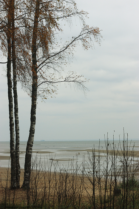 1 (466x700, 426Kb)