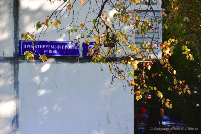 DSC_9798 копия (700x466, 471Kb)