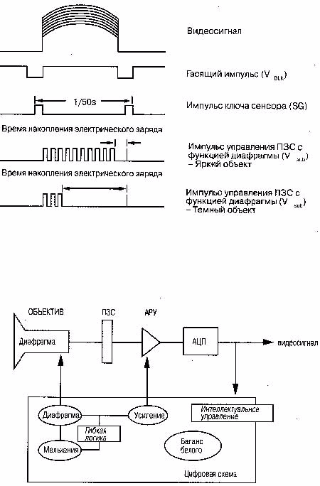 avia3-8 (450x684, 133Kb)