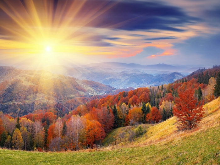 105967667_091600x1200 (700x525, 281Kb)