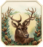  Free-Vintage-Christmas-Image-Deer-GraphicsFairy (654x700, 715Kb)