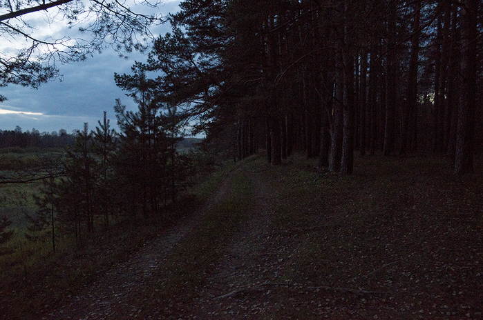 4213829__DSC7011 (700x464, 383Kb)