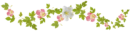 0_7f974_4e812b83_L (502x121, 14Kb)