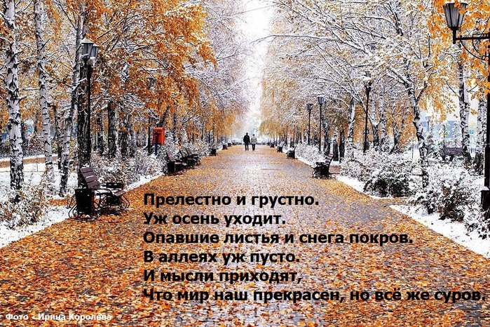 прическа прощай осень картинки стихи формы
