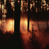 tumblr_mm71pmbFGK1rgunsqo9_250 (160x160, 48Kb)
