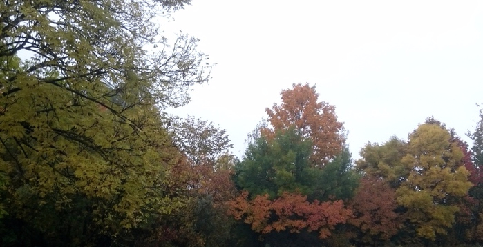 Начало октября в Резекне фото Марины (699x358, 251Kb)