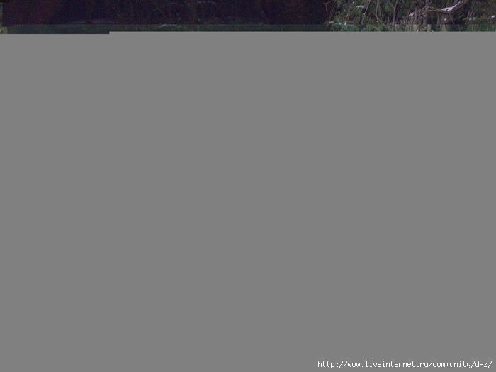 IMG_20161103_193626 (700x525, 42Kb)