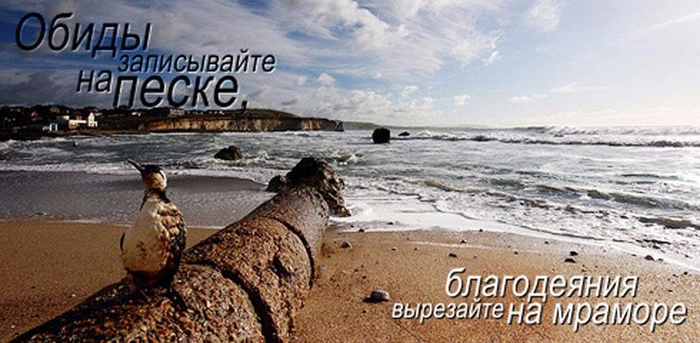 46758503_7b2a0b08b07379661cb3859d7638399f_800 (700x343, 275Kb)
