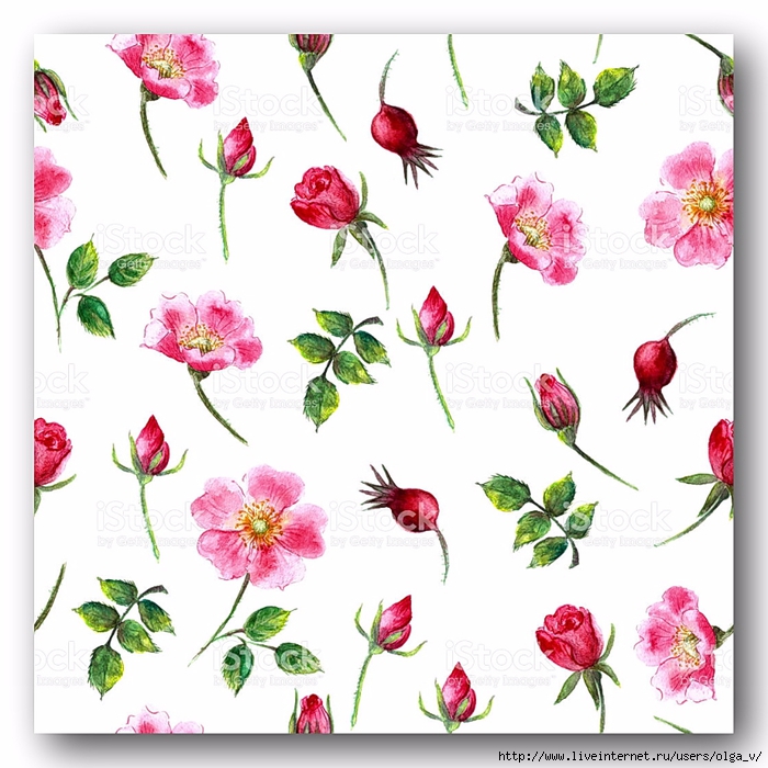 stock-illustration-70386711-hand-drawn-watercolor-wild-rose-seamless-pattern-in-bright-pink (700x700, 302Kb)