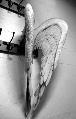 image (50) (308x480, 31Kb)