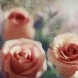tumblr_mkmw2c77tt1rgunsqo9_250 (160x160, 32Kb)