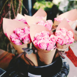 tumblr_mta3hkcnQf1rgunsqo2_250 (160x160, 51Kb)