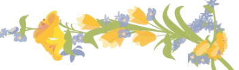 3206 (350x103, 50Kb)